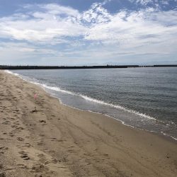 ピンギスチョイ投げゲーム