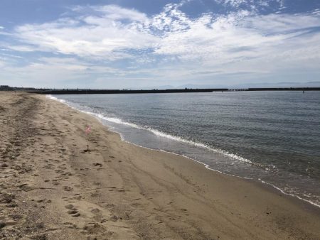 ピンギスチョイ投げゲーム