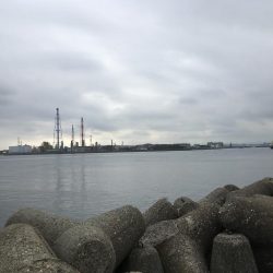 ストリンガーを使ってみた