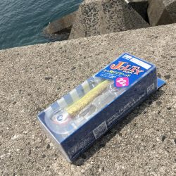 ワームが効く?マゴチ釣果