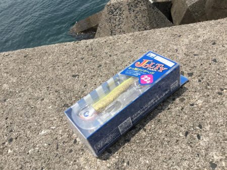 ワームが効く?マゴチ釣果