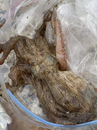 コロナ休み⇄釣り