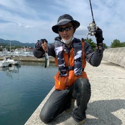 圧倒的サバ大群大挙