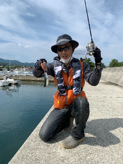 圧倒的サバ大群大挙