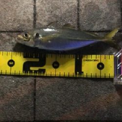 チビ達満足～-w