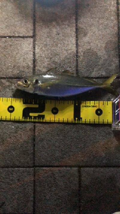 チビ達満足～-w