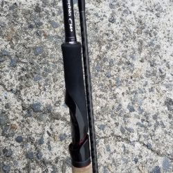 イカと鯛で満足