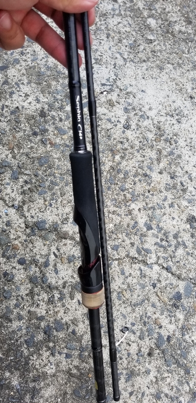 イカと鯛で満足