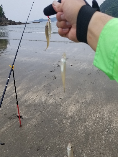 今日は、遅めの出発です。