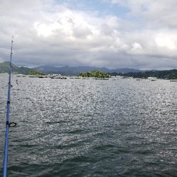 久しぶりに。。