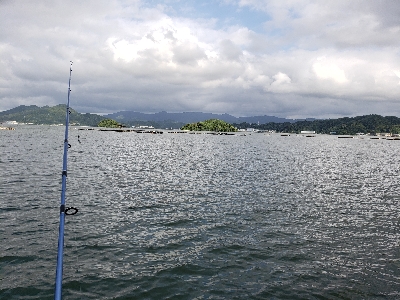 久しぶりに。。