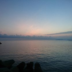 エギングでの初アオリイカゲット