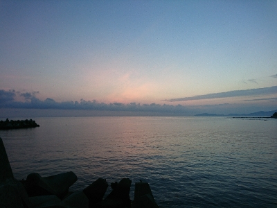 エギングでの初アオリイカゲット