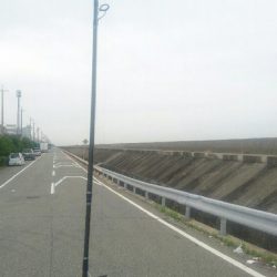 タコ釣れました❗