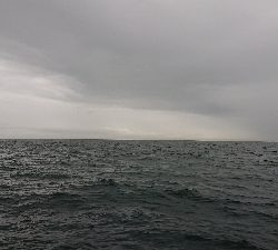 コンディション悪い中