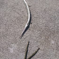 久しぶりの投稿