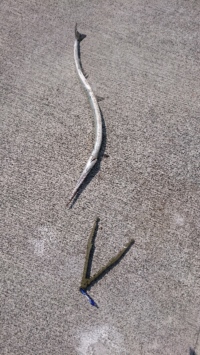 久しぶりの投稿