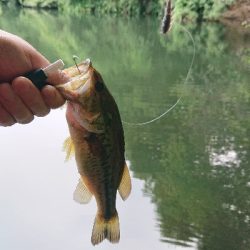 スピニングゲーム