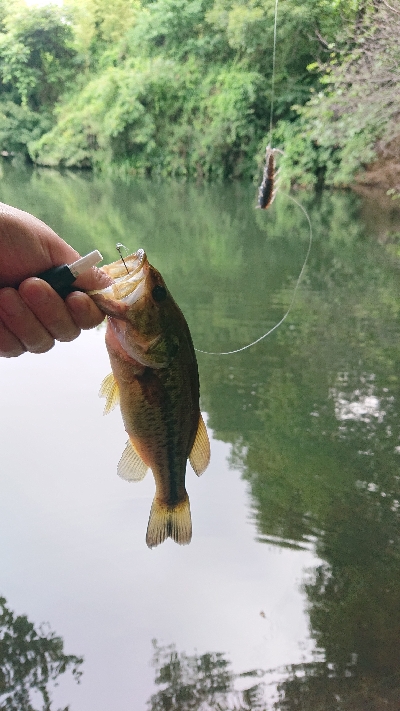 スピニングゲーム