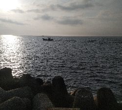 リリースサイズばっかり