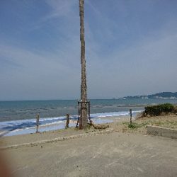 紀北サーフでキス