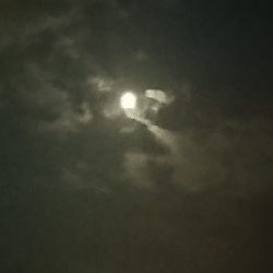 フロートアジング