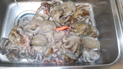 昼まで粘って13匹総重量4.5kgOVER