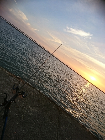 緊急事態宣言解除後のｼﾞｮｱｼﾞｷﾞ＆ちょい投げ釣果