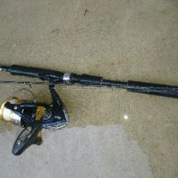 暴風雨の朝マズメに堤防カマス釣果!!