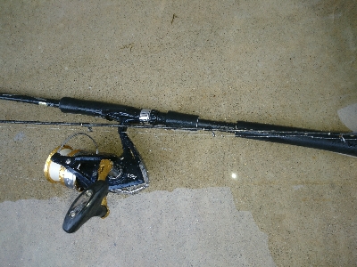 暴風雨の朝マズメに堤防カマス釣果！！