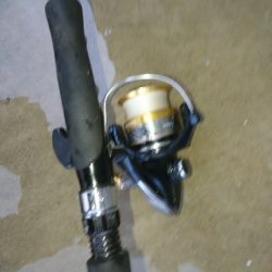 朝マズメの尺超えカマス入れ食い!!