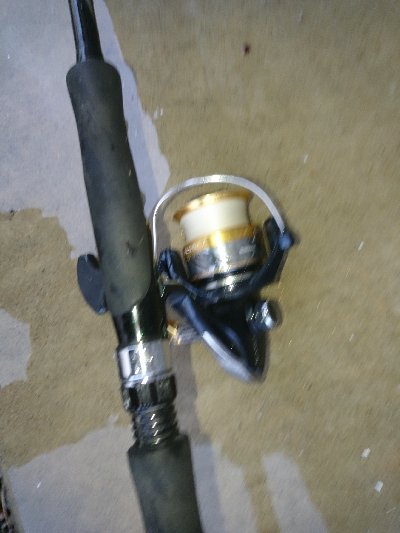 朝マズメの尺超えカマス入れ食い！！