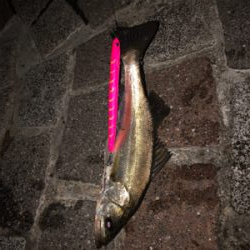 当たりはある！