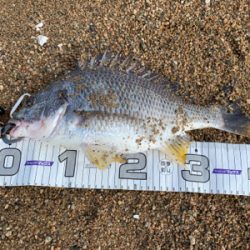 やっとのことで