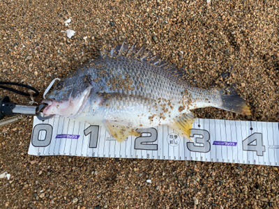 やっとのことで