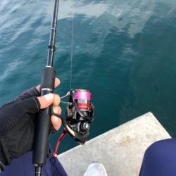 解除明け初釣行