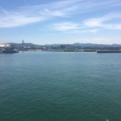 ヒラメ一匹釣れました^_^