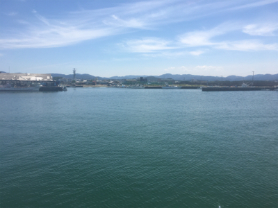 ヒラメ一匹釣れました^_^