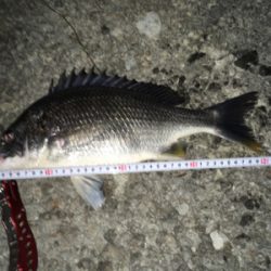 梅雨に入る前に