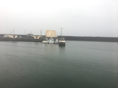 大雨の中のダツ85センチ
