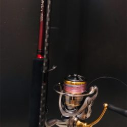 久しぶりのエギング