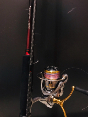 久しぶりのエギング