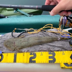 二馬力ボート初釣行