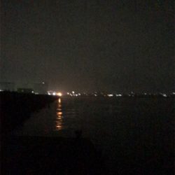 キロオーバーには程遠いけどσ(^_^;)アオリイカ  GET!