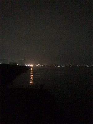 キロオーバーには程遠いけどσ(^_^;)アオリイカ  GET!