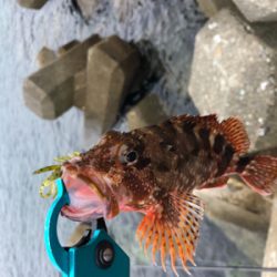 出雲〜萩尾にて