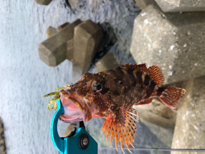 出雲〜萩尾にて