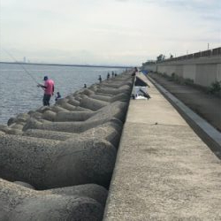 サワラ?サゴシ?今日は月曜日?