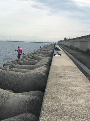 サワラ?サゴシ?今日は月曜日?