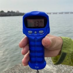 小潮のエギングは釣れる☆GUNNING-STYLE